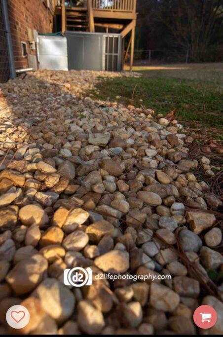 Pine Forest Zen Cottage - 10 Min To Fort Bragg Fayetteville Bagian luar foto